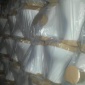 闈炴床鍒嗛珨鍧愪究鍣� 闄剁摲棣《 寤ｆ澅娼窞寤犲鍑哄彛鍒嗛珨搴т究鍣ㄨ鐢熼枔娼斿叿